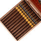 Punch Golden Era Lancero