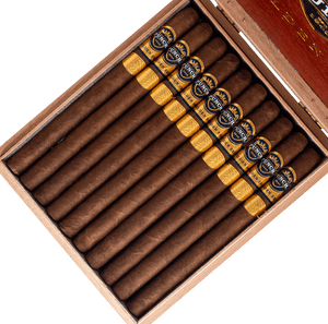Punch Golden Era Lancero