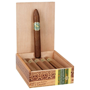 Casdagli Daughters of the Wind Calico