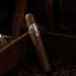 ADVentura Blackfin’s Parlay Robusto