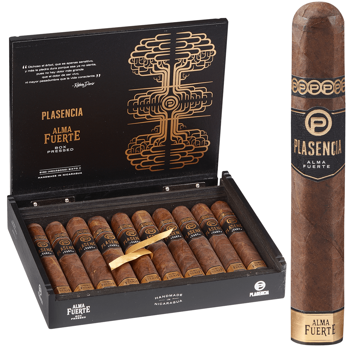 Plasencia Alma Fuerte Sixto II Hexagon