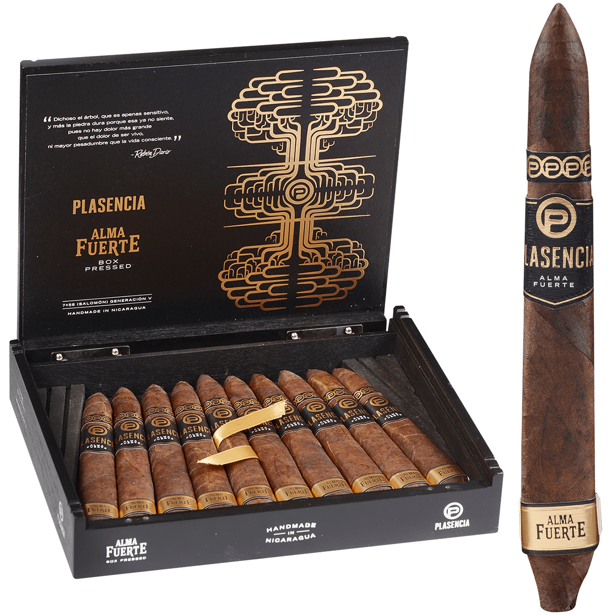 Plasencia Alma Fuerte Generacion V Salomon