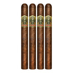 Ashton VSG Sorcerer