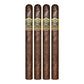 Ashton VSG Spellbound