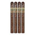Ashton VSG Spellbound