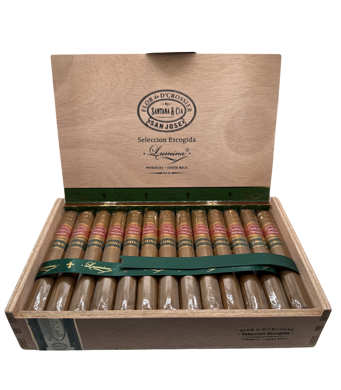 Flor de D'Crossier Lumina Corona Gorda