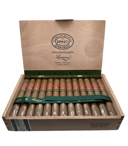 Flor de D'Crossier Lumina Corona Gorda