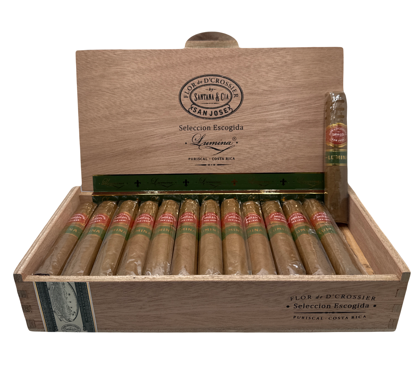 Flor de D'Crossier Lumina Robusto