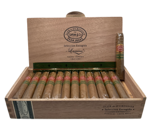 Flor de D'Crossier Lumina Robusto